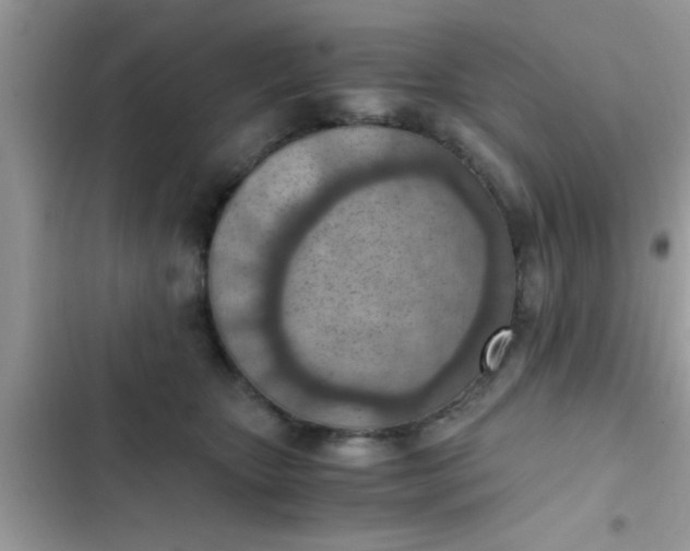 X0000102390467200808151925