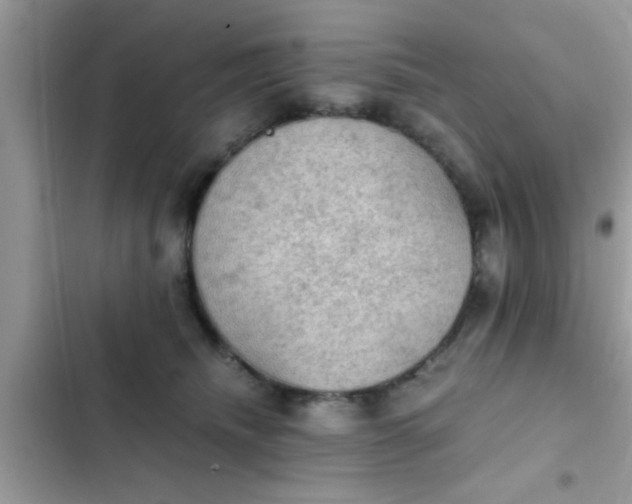 X0000102390468200808151925