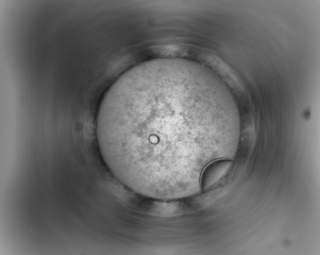 X0000102390469200808151925