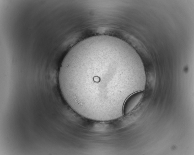 X0000102390470200808151925