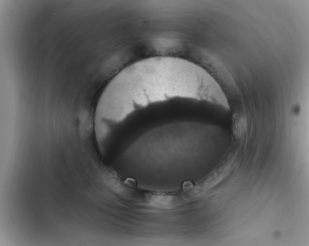 X0000102390471200808151925