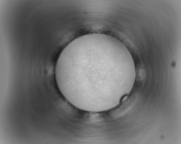 X0000102390472200808151925