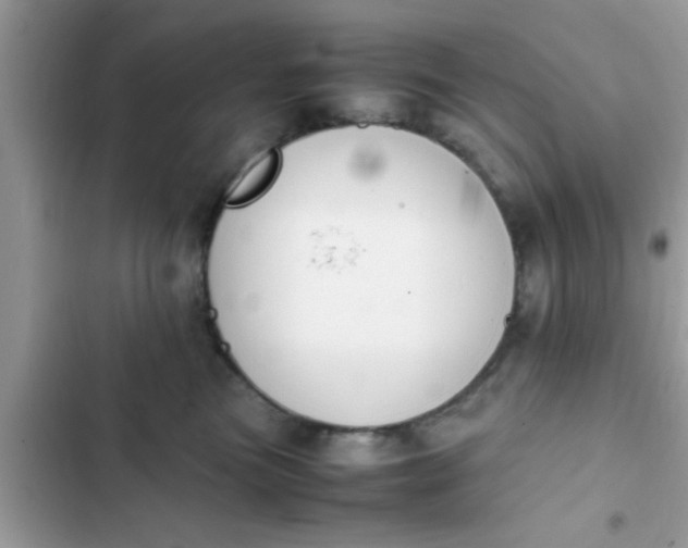 X0000102390473200808151925