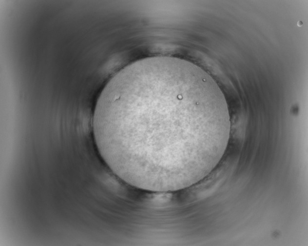 X0000102390474200808151925