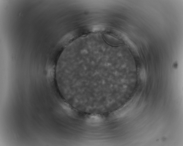 X0000102390475200808151925