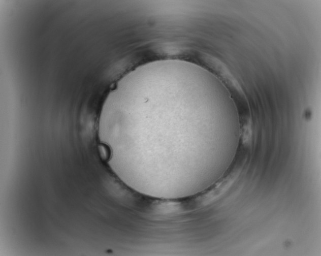 X0000102390476200808151925