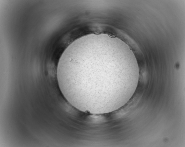 X0000102390477200808151925