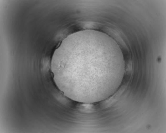 X0000102390478200808151925