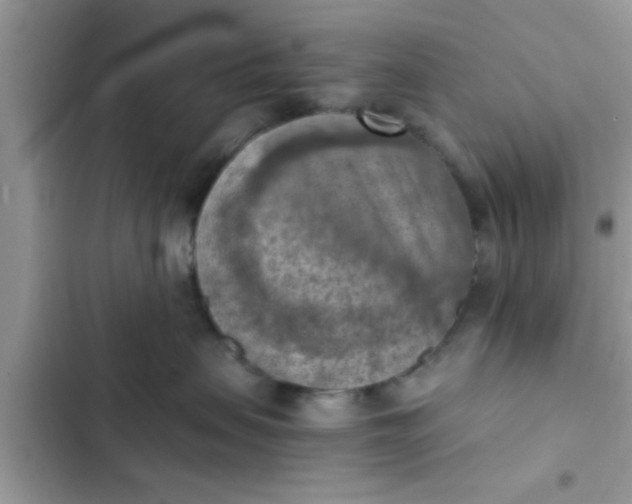 X0000102390479200808151925