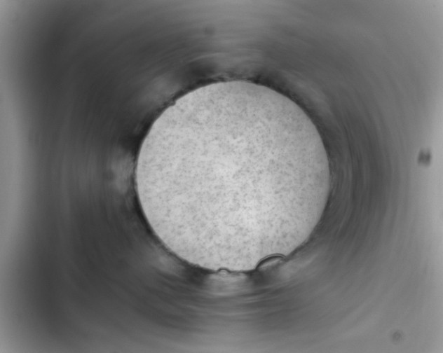 X0000102390480200808151925