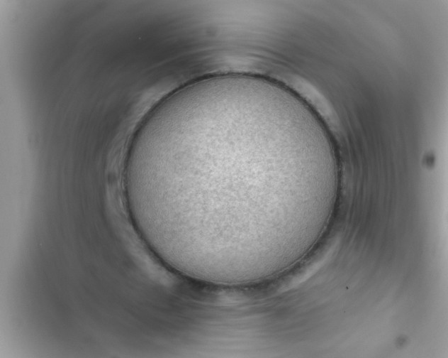 X0000102390481200808151924