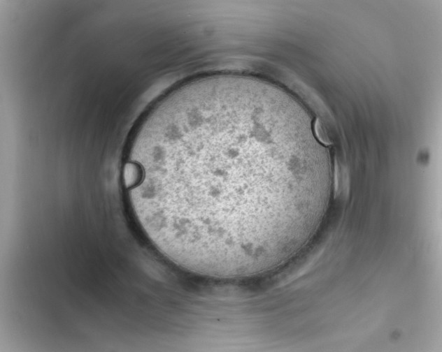 X0000102390483200808151924