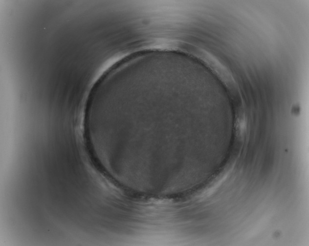 X0000102390484200808151924