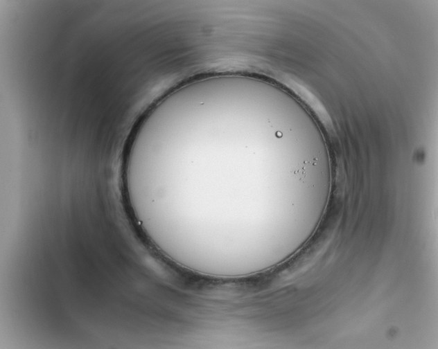 X0000102390485200808151924