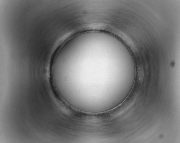 X0000102390486200808151924