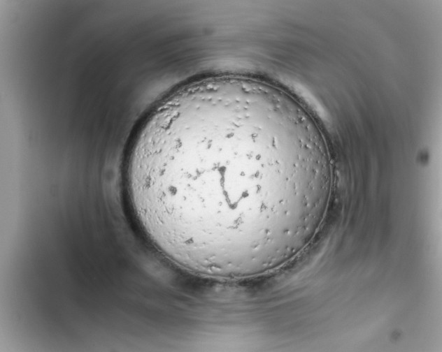 X0000102390487200808151924