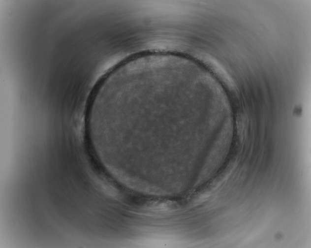 X0000102390488200808151924