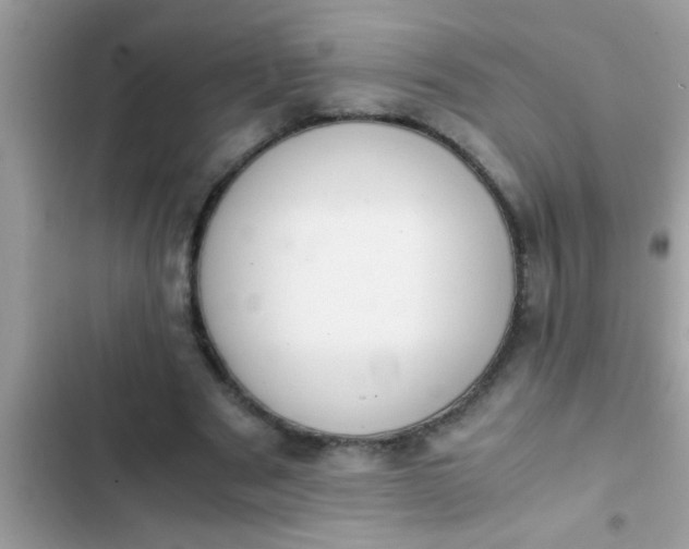 X0000102390489200808151924