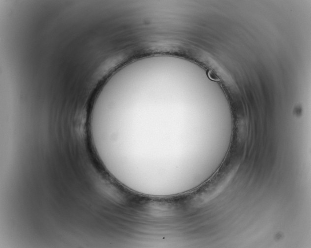 X0000102390490200808151924