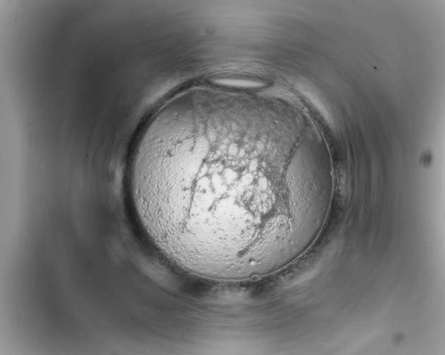 X0000102390491200808151924