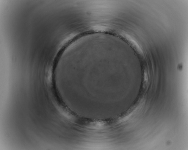 X0000102390492200808151924