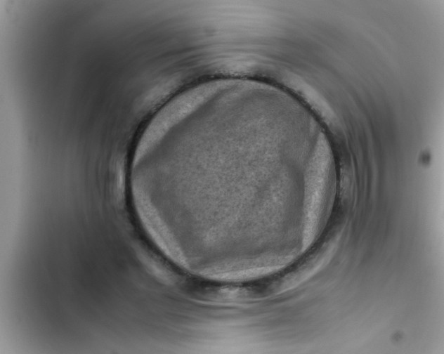 X0000102390493200808151924