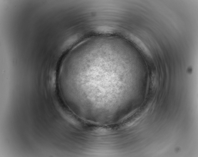 X0000102390494200808151924