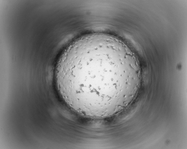 X0000102390495200808151924