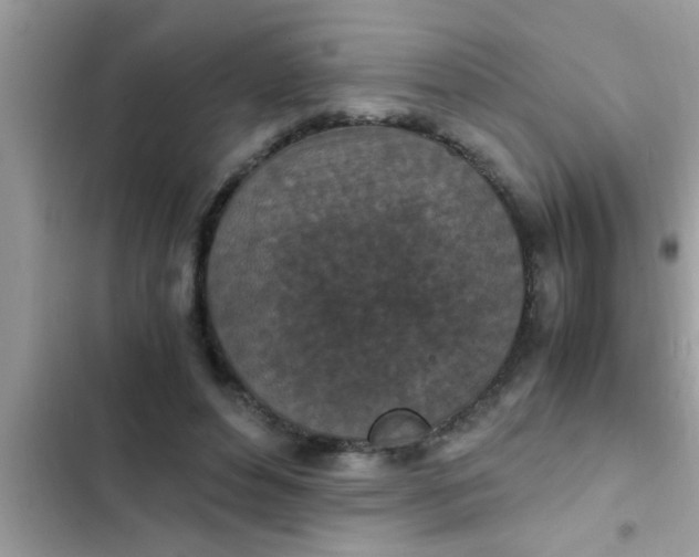 X0000102390496200808151924