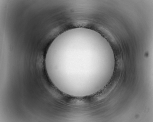 X0000102390498200808151924