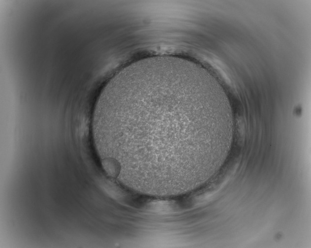 X0000102390499200808151924