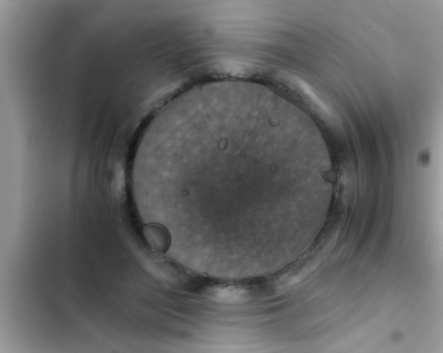 X0000102390500200808151924