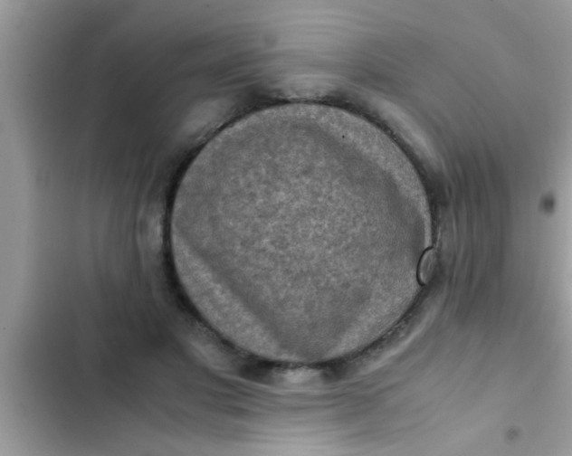 X0000102390501200808151924