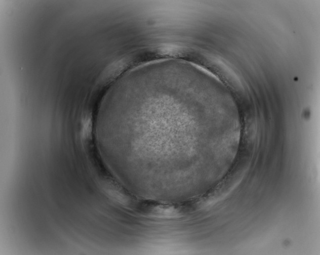 X0000102390502200808151924