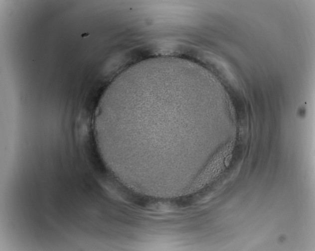 X0000102390503200808151924