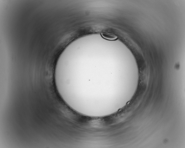 X0000102390505200808151924