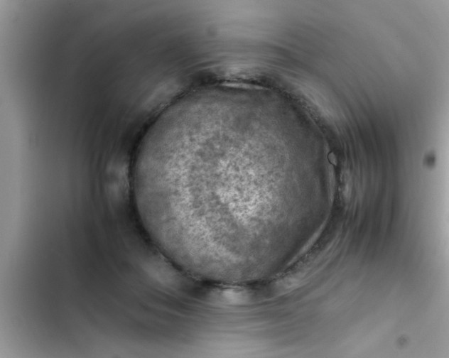 X0000102390506200808151924