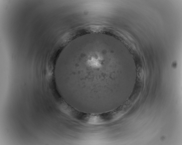 X0000102390507200808151924