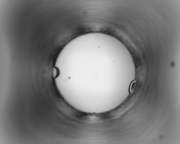 X0000102390509200808151924