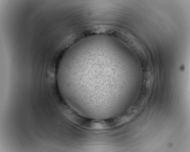 X0000102390510200808151924