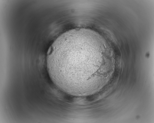 X0000102390511200808151924