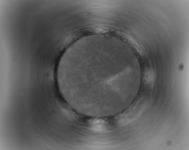 X0000102390512200808151924