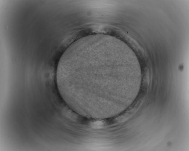 X0000102390513200808151924