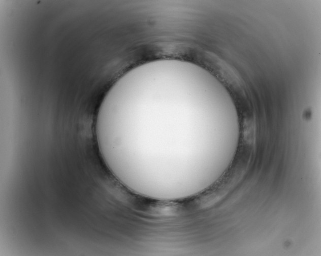 X0000102390514200808151924