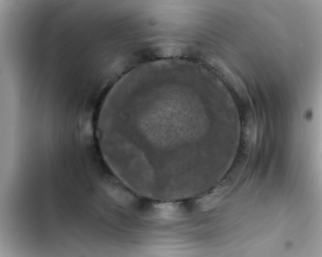 X0000102390516200808151924