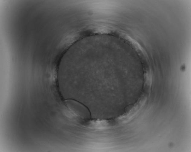 X0000102390517200808151924