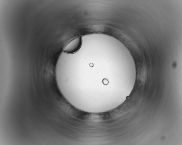 X0000102390518200808151924