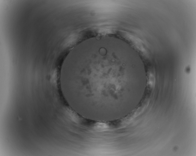 X0000102390519200808151924