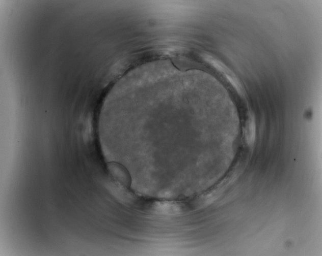 X0000102390520200808151924