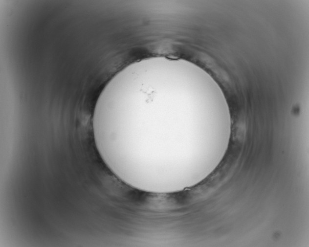 X0000102390521200808151924